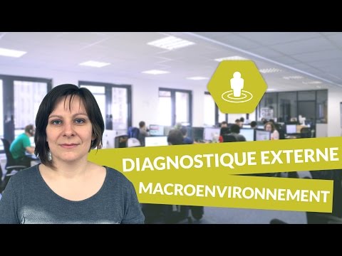 Les composantes du diagnostic externe : macroenvironnement - Management - digiSchool