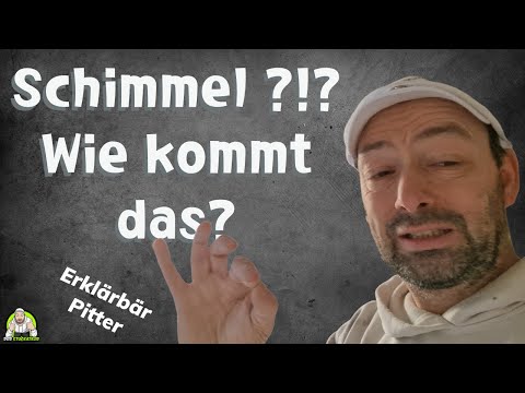 Explainable Pitter - How does mold form on the wall?