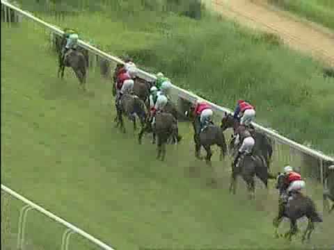 The Calcutta Colts Trial Stakes  WINNER    TENNO SHO