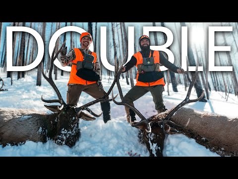 DOUBLED UP | 3 OTC Bull Elk down in 24 HOURS | 4K HUNT FILM 🎥 .
