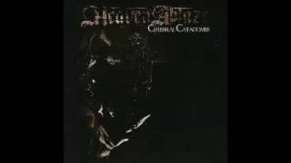 Heaven Ablaze - Cerebral Catacombs