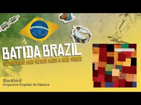 Orquestra Popular de Câmara - Blackbird - Batidabrazil