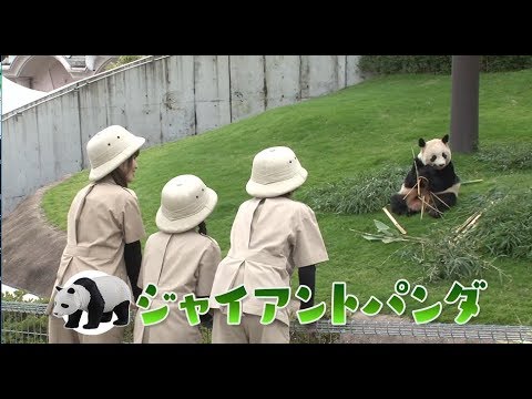 アニア探検隊　和歌山　アドベンチャーワールド（前編）