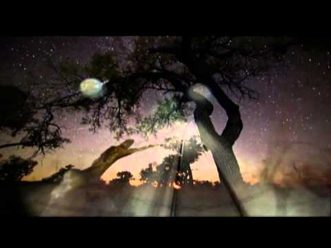 Psychowsky - A Kind Of Repetition