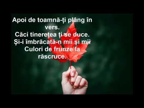 Anotimpurile de Dana Popa