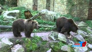 Exploring: Town of Decin (Czech American TV)