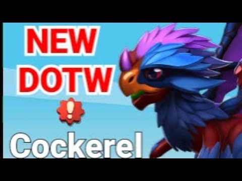 Cockerel Dragon | New DOTW | Breeding Information | Dragon Mania Legends | Dml