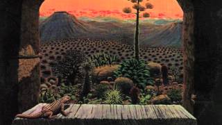 Instant Armadillo Blues - New Riders Of The Purple Sage - www.nrps.net