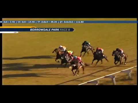 2019.07.27 Champion Juvenile Stakes (ZIM) - Lily Blue