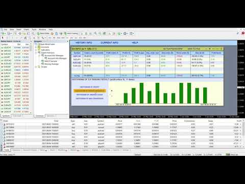 Video Account Info Manager MT4