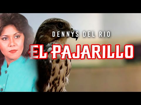 El Pajarillo - Dennys Del Rio | Video Letra | Música Llanera