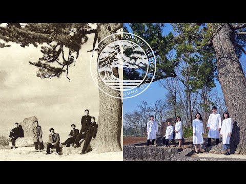 薬学科 東北医科薬科大学創立80周年記念動画