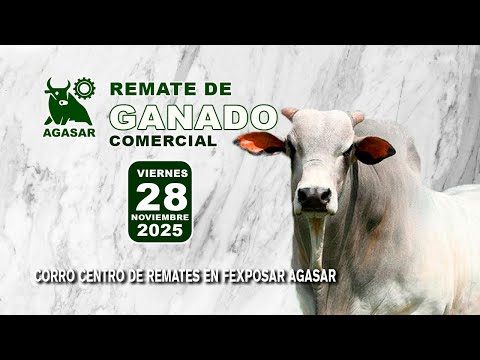 REMATE COMERCIAL AGASAR 28 DE NOV 2025 SAN RAFAEL DE VELASCO