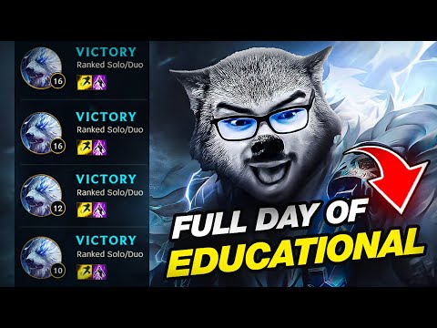 FULL DAY OF EDUCATIONAL VOLIBEAR CONTENT