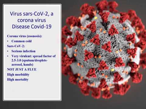 What is COVID-19?  Prof F. Eyskens -  Fabry International Network Webinar