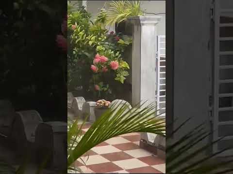 Padmaja home and kitchen please subscribe