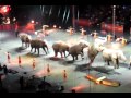 Ringlin Bros Barnum Bailey In Mexico City 2012