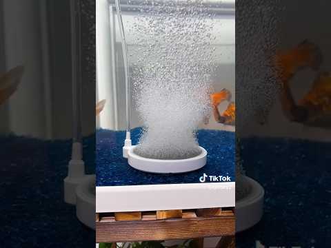 Aquarium Air Stone| Better oxygen flow in Fish tank| Round Aquarium air stone