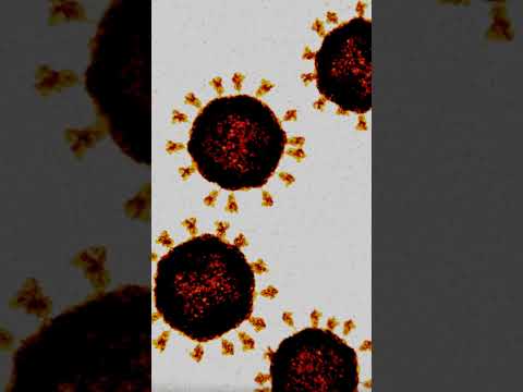 Coronavirus under microscope