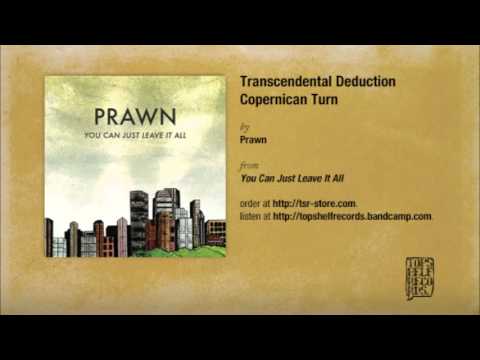 Video thumbnail for Transcendental Deduction (Copernican Turn)