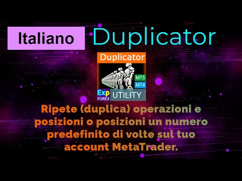 Video Exp4 Duplicator