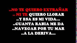 Amor De Mi Alma - Vicente Fernandez DEMO SERTRIERO KARAOKE