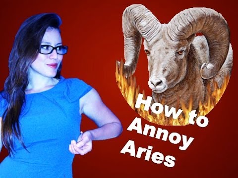 All About Aries