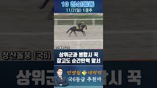 [서울 경마] 민병철 대박픽 2025년 11월 2일 일요 1R 추천마1 #경마 #하이라이트 #한국마사회 #경마 #하이라이트 #한국마사회