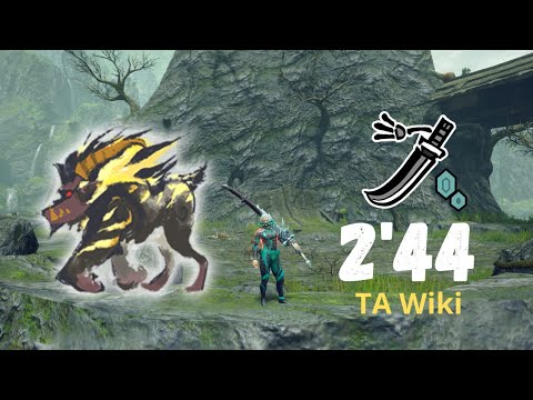 [MHR:SB|PC] Furious Rajang LS/太刀 TA Wiki Rules 2'44'41