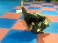 Sonya Blade