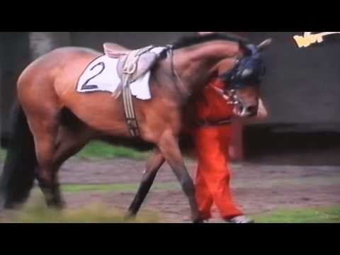 Nagroda Baroneta i Good Boy'a - 7.05.1995 - Bella Donna (Neman - Badalona)