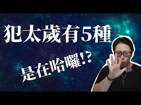 沖犯意思