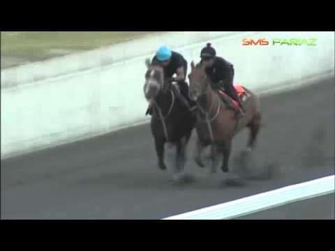 SMS Pariaz Training Shots for Meeting 26 + Barrier Trials