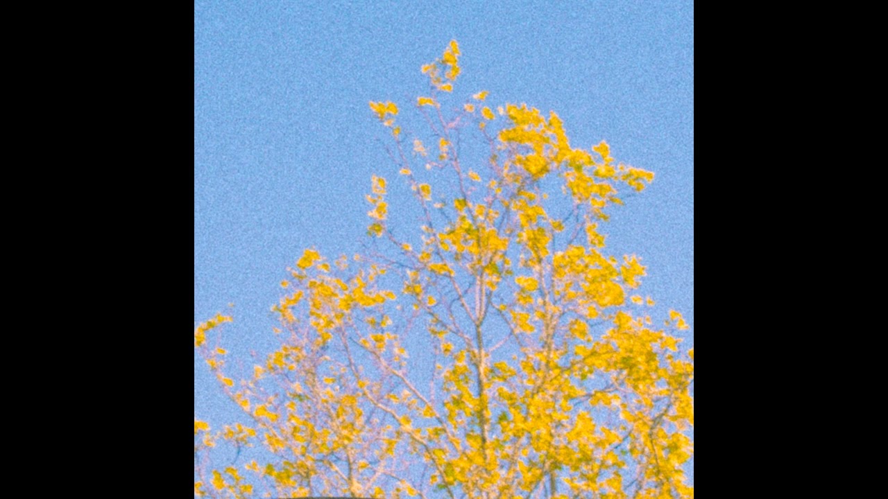 atmos bloom - It's Enough