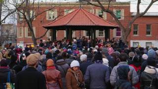 Why Don&#39;t You Try? (L. Cohen, performed by Patrick Hutchinson)