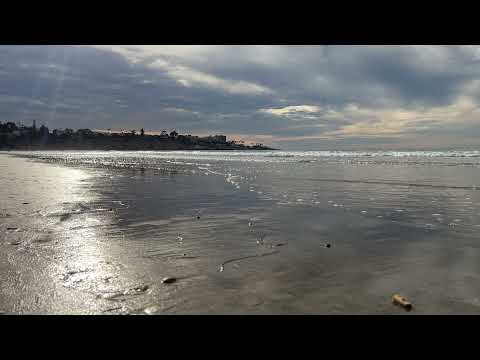 (No Ads) 8 Hours of Calming San Diego Ocean Waves Beach Relaxation Sounds Baby White Noise for Sleep