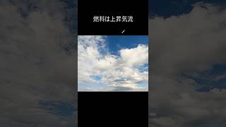 無動力で飛び続ける不思議な飛行機２