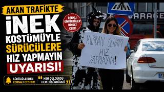 Akan Trafikte İnek Kostümüyle Sürücülere Hız Yapmayın Uyarısı