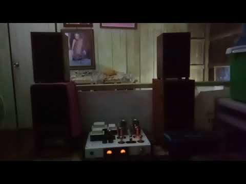 Pre hybrid type 56+RS1003 SE