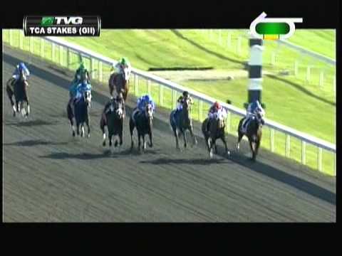 2012 Thoroughbred Club Of America Stakes - Groupie Doll