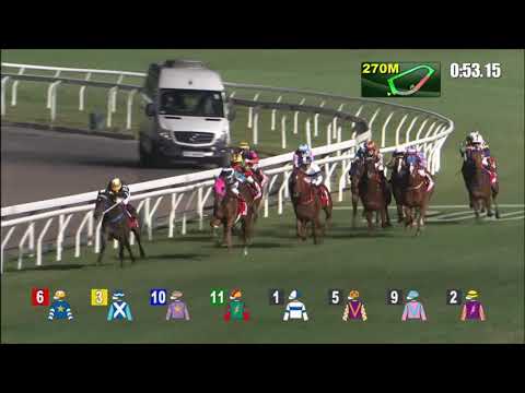 3/2/2021 (401) Capital Star - J Moreira