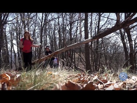 ČAROBNA planina ORAVICA | SA VANJOM U PLANINE Ep.09