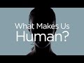 What Makes Us Human? | Insight