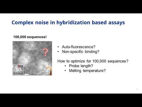 Highly specific multiplexed RNA imaging in tissues with split FISH