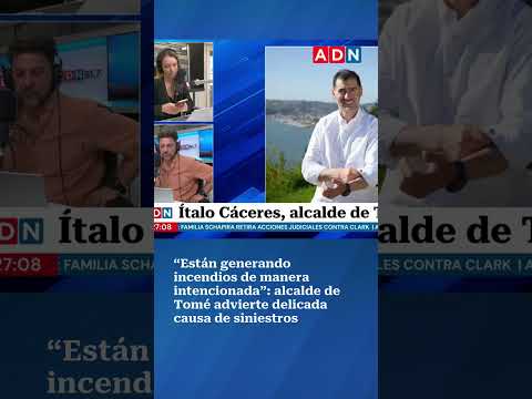 “Están generando incendios de manera intencionada”: alcalde de Tomé advierte causa de siniestros