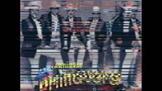 Conjunto Primavera   borracho y loco