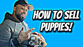 How to sell puppies! 2023 Grow on Social media as a Dog breeder‼️
