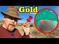 High-Grade Gold Ore Vein Uncovered.   #askjeffwilliams