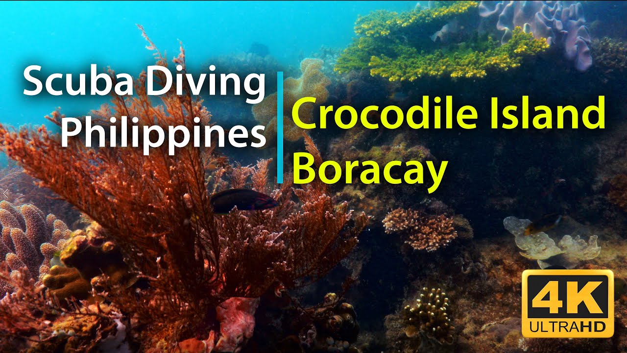 Experience virtual diving tour in pristine Crocodile Island.