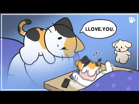 貓咪為什麼喜歡在你睡覺時湊到你臉上？原來是因為這 4 個原因！ (4 Reasons Why Cats Get In Your Face While You Sleep)